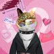 TooCool Dolander