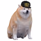 doge