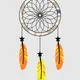 Dream Catchers