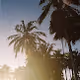 Alagoas on Film - old