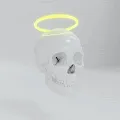 Liberty Skull Society