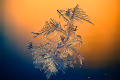 Magic of ice