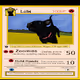 Pet Trading Cards