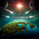 CryptoGrow Burn