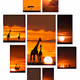 Nine Enthralling Sunrises