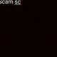 scamart editions
