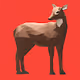 Bored Deer Run Club - old