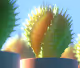 The World of Siri's 3D