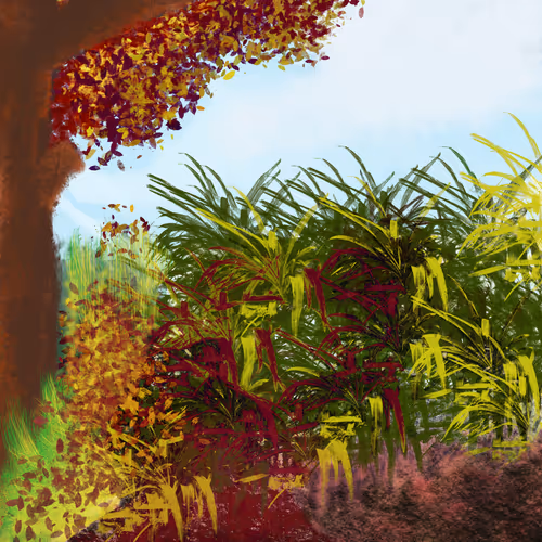 Nature's Park