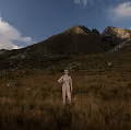 The Strayed Project - old
