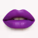 VELVET VICE
