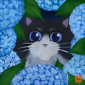 Cat & Flowers