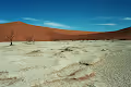 deadvlei