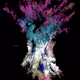 zen`s song tree