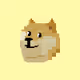 CryptDoge Collection