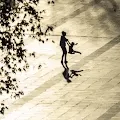 Silhouette Stories