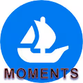 Moments of projects