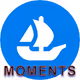 Moments of projects