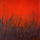 Abstract Fine Art