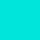 Favorite Color