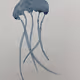 MEDUSAS COLLECTION BY NATALIA DOLZ