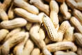 peanut defi