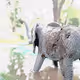 The Elephant Explorer (Baby Elephant Adventures)