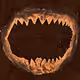 Teething - old