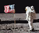 Facts that have marked the human species - old