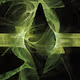Zn2+C - Acidic Anomalies(Space Collection)