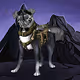 CryptoDogX