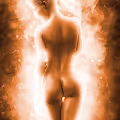 Illuminated Series