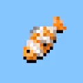 Crypto-Fish