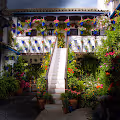 Patios de Cordoba 2022