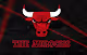 Chicago Bulls - THE AUROCHS