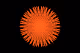 Phytonized