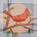 Cardinal Moon - old