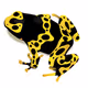CryptoFrogs