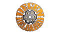 Degen Reloaded Coin Collection