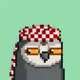 Saudibirds Official