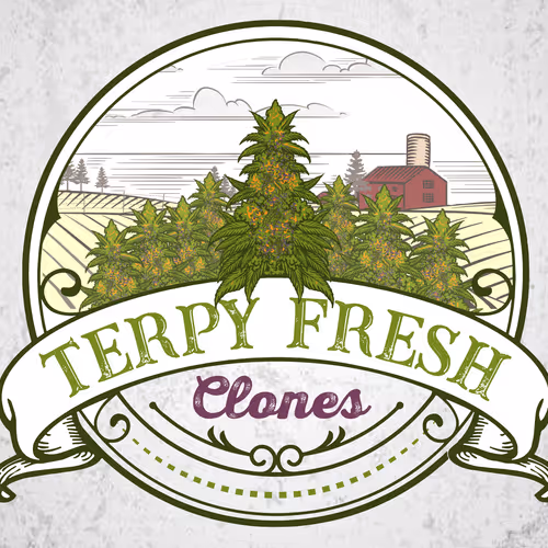 Terpy Fresh Clones