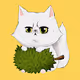 BOOBEE the CAT