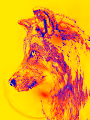 FEELINGS POP ART