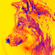 FEELINGS POP ART