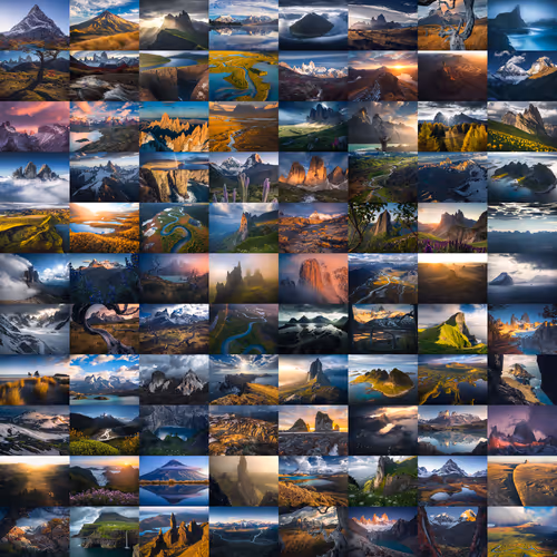 Wilderness to Blockchain - Editions