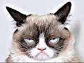 Grumpy Pussy - old