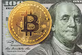 Crypto Domain Market