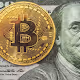Crypto Domain Market