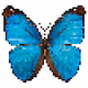 Pixelfly