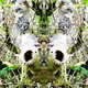 METAMINDSCAPES